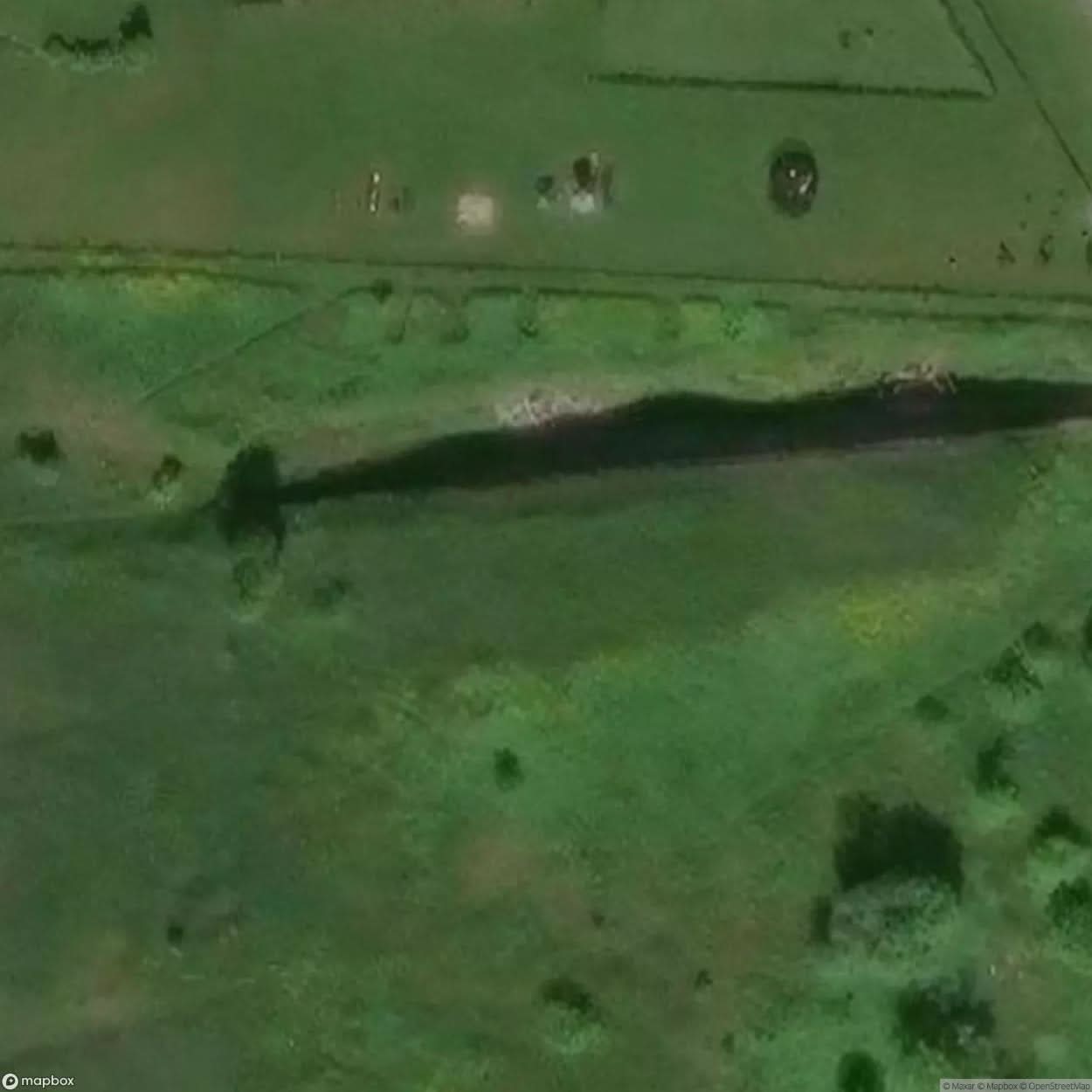Douane