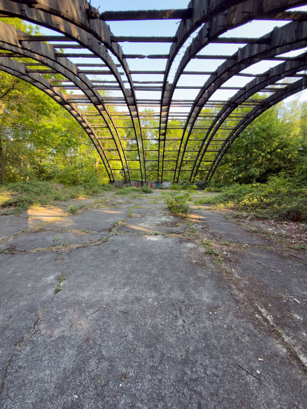 Arched Aircraft Hangar [GER] #11789