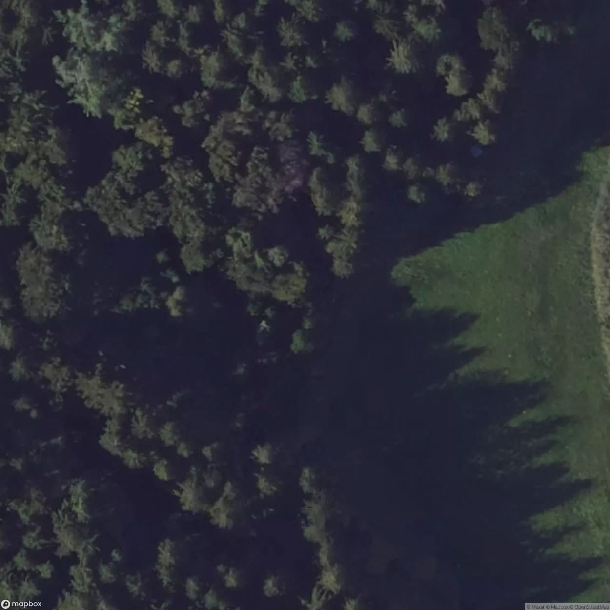 Little House In The Forest [GER] #03594