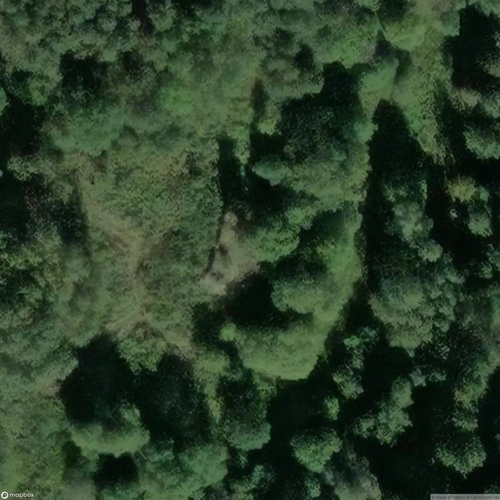 Bunker Wdg [GER] #16110