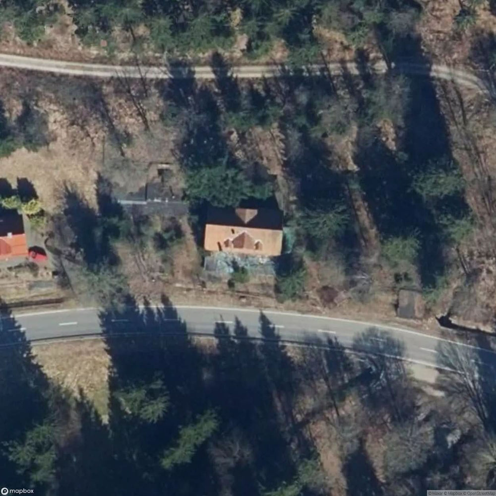 Forest Cat Inn And Hotel [GER] #21463