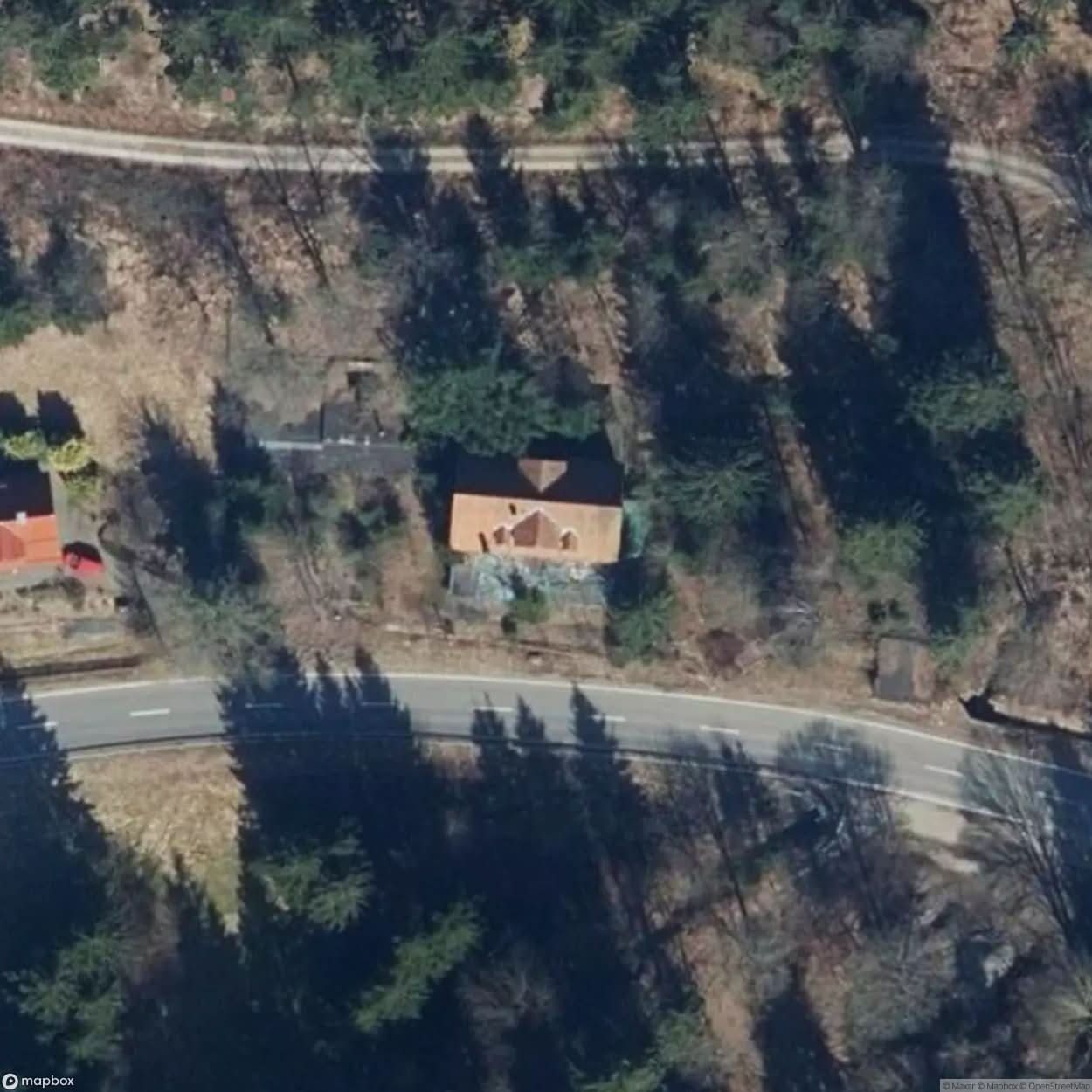 Forest Cat Inn And Hotel [GER] #21463