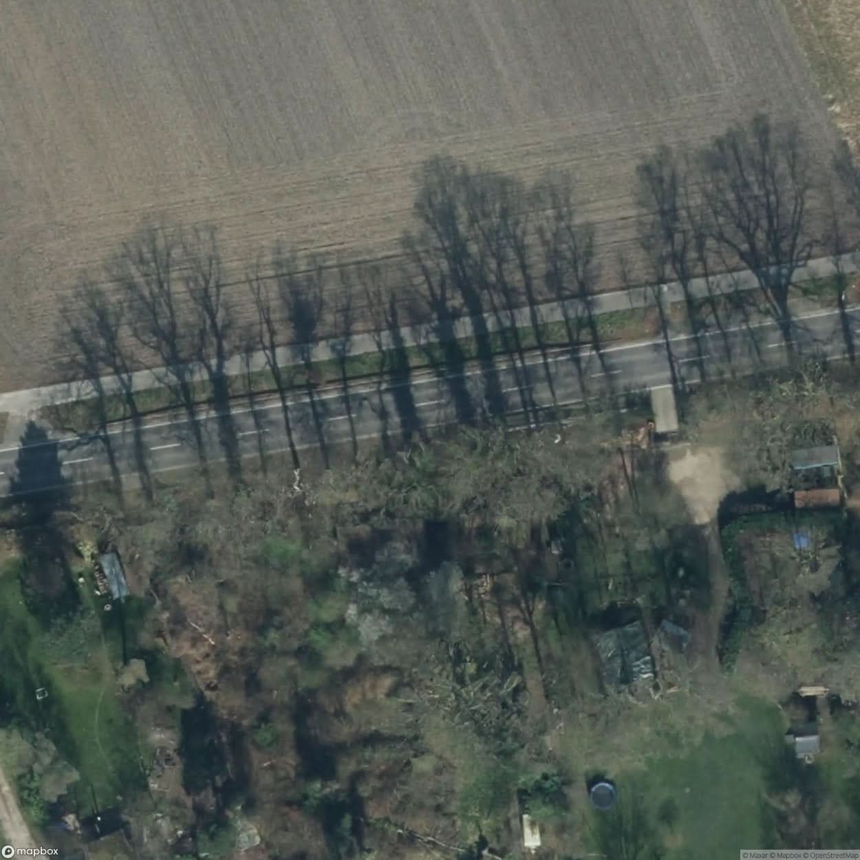 Field Bungalow [DEU] #05652