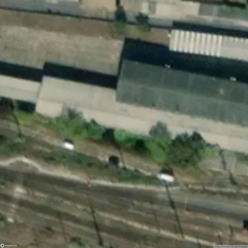Douane Spoorwegstation [DEU] #17740