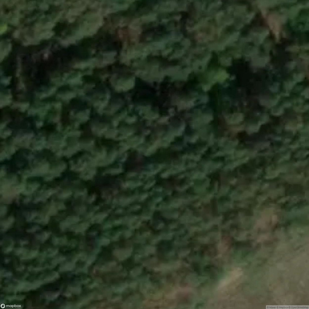 Brzeznica Colony Site [POL] #32983