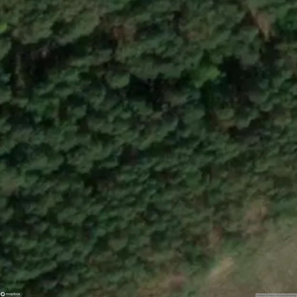 Brzeznica Colony Site [POL] #32983
