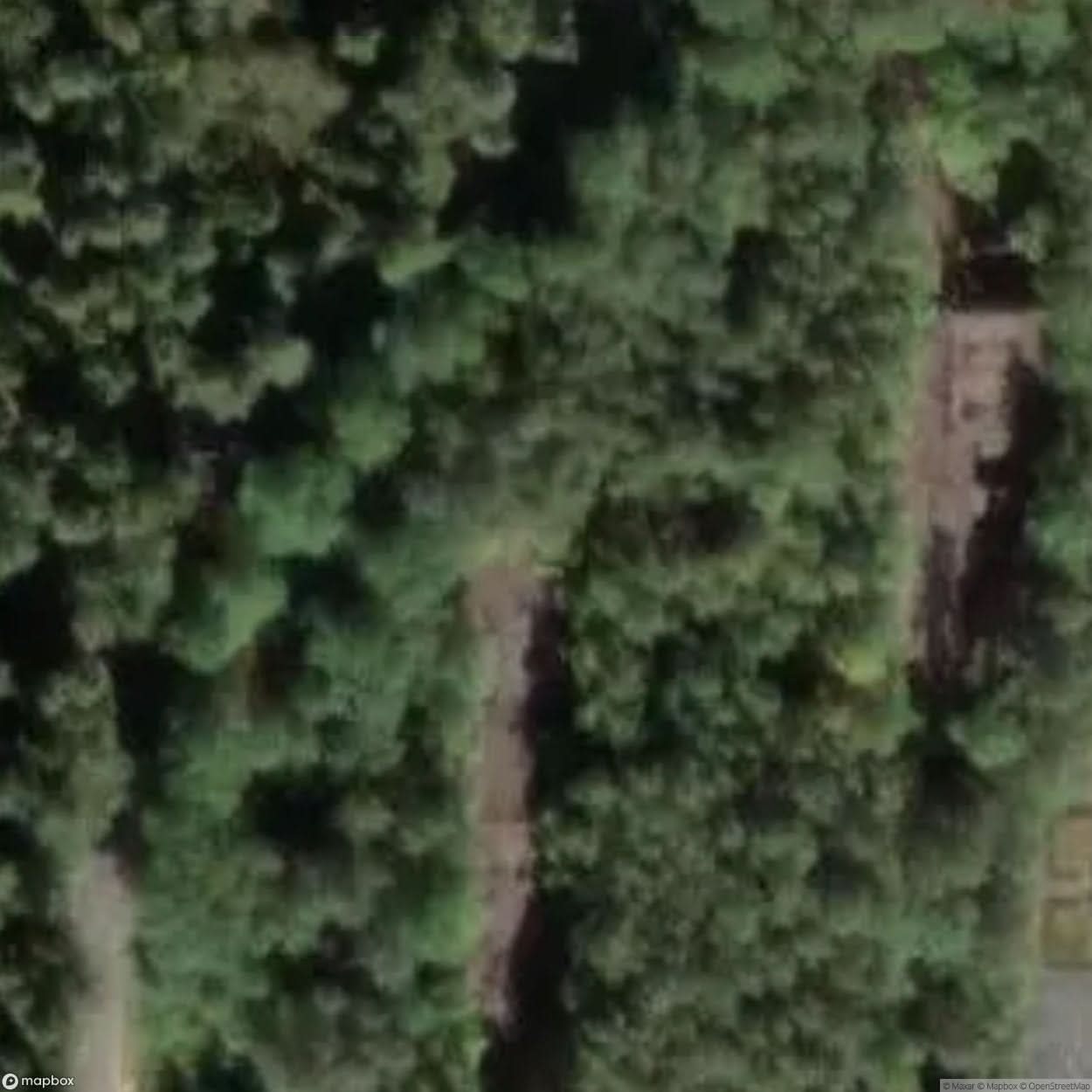 Sybillenbad Building Ruins [GER] #06829