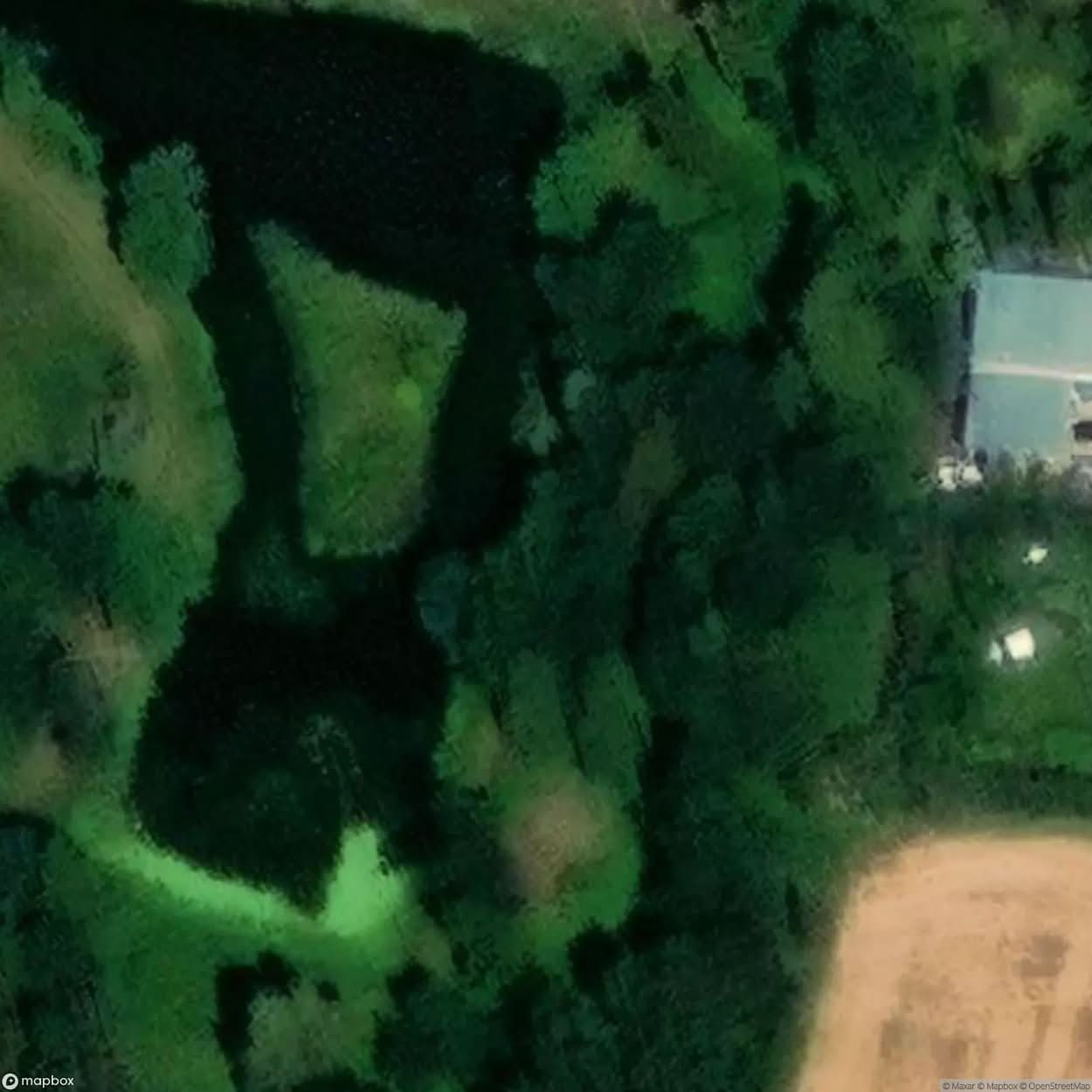 Boguszyn Palace [POL] #23901