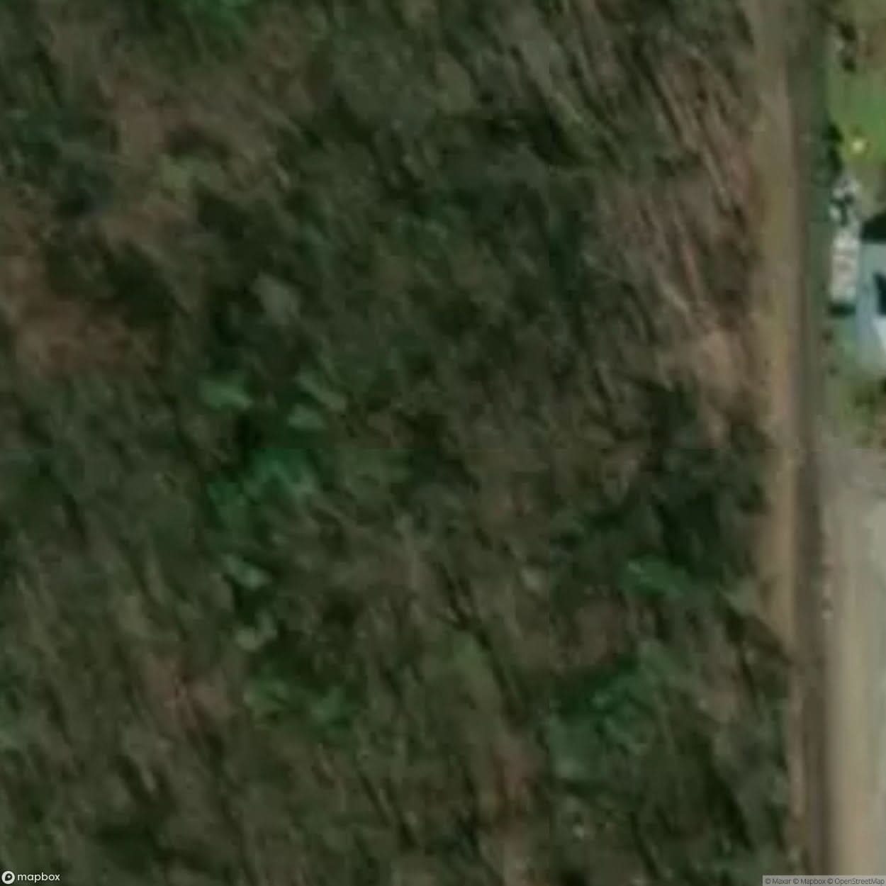 Historic Cemetery Debowa Eka [POL] #35846