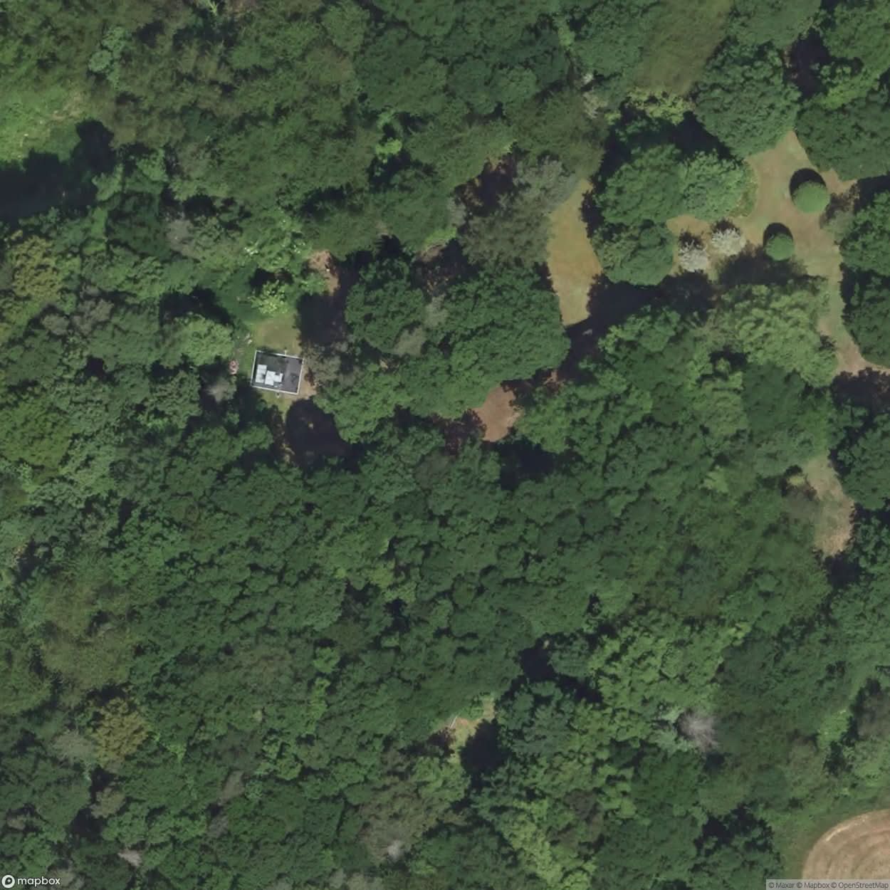 Felsennest Headquarters [GER] #16235