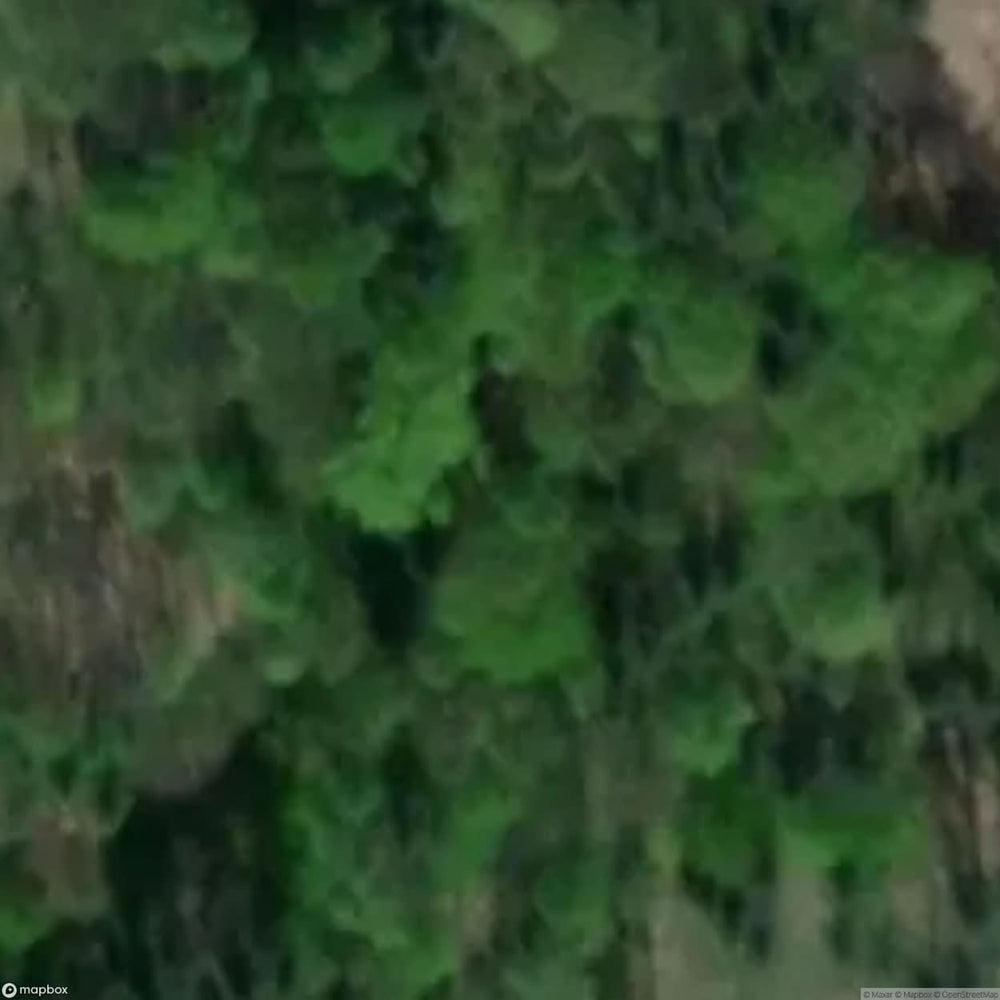Site Ruins Of The Augusta Mine [POL] #34125