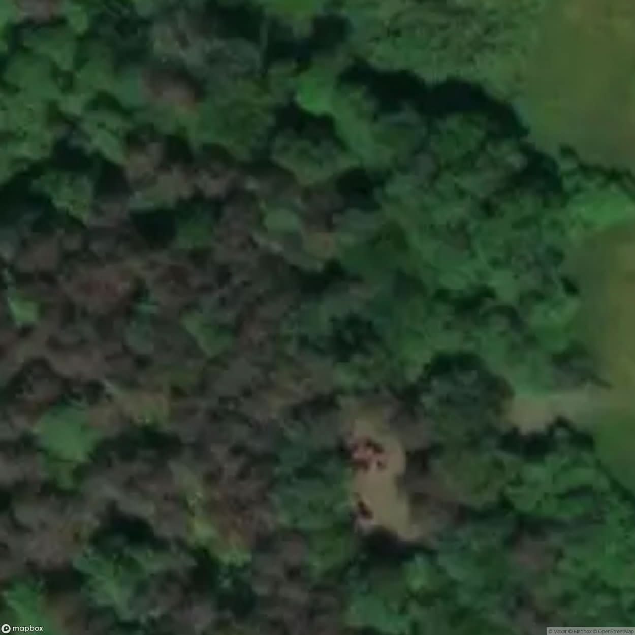 Historic Cemetery Krempna [POL] #35802