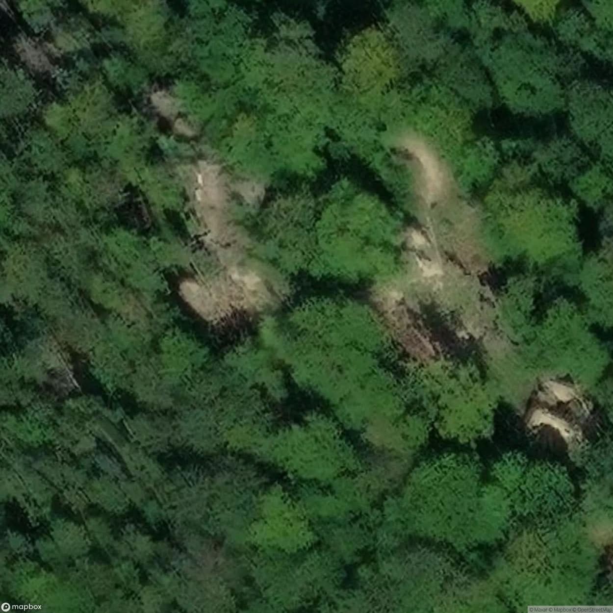 Bolczów Castle [POL] #10406