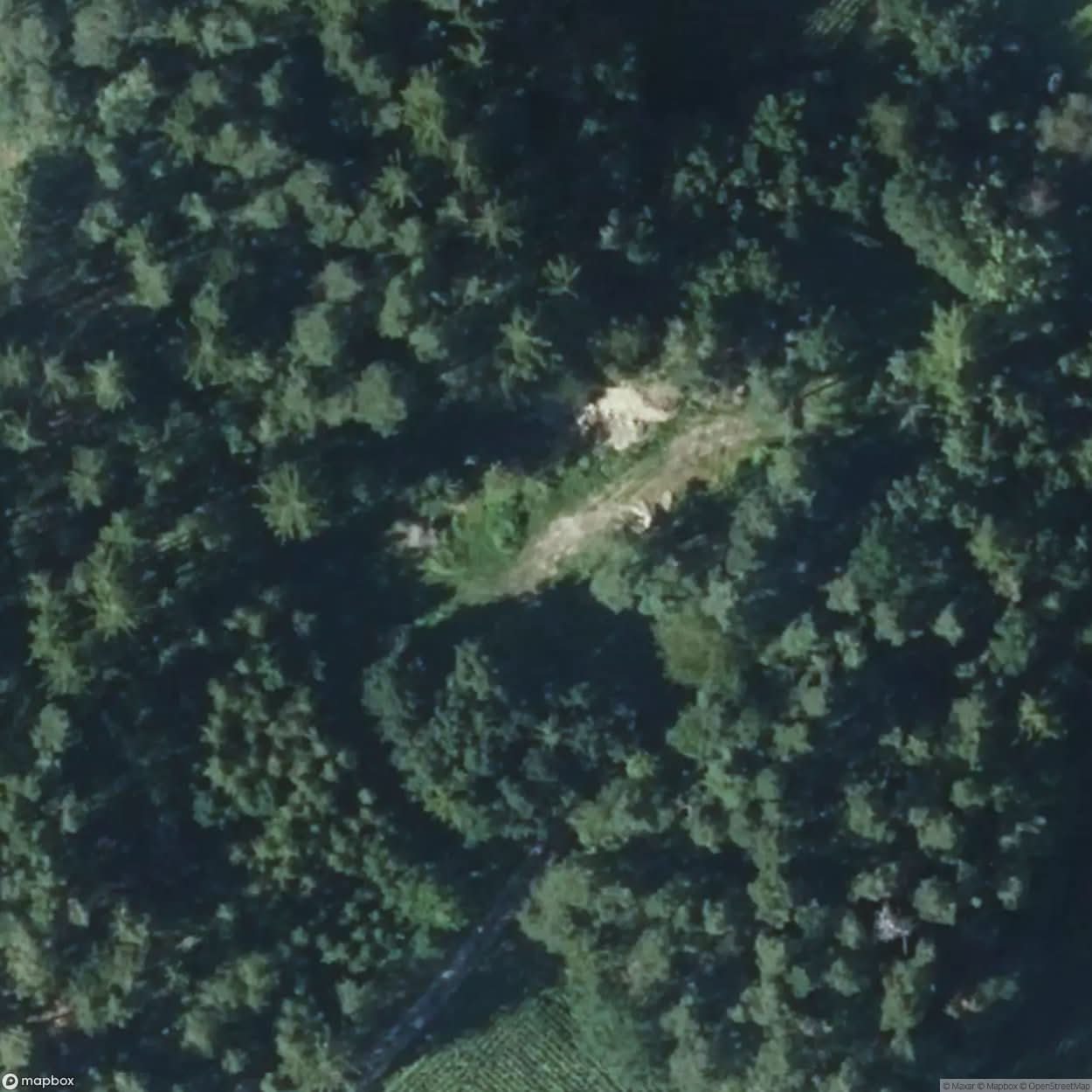 Castle Ruin [GER] #09552