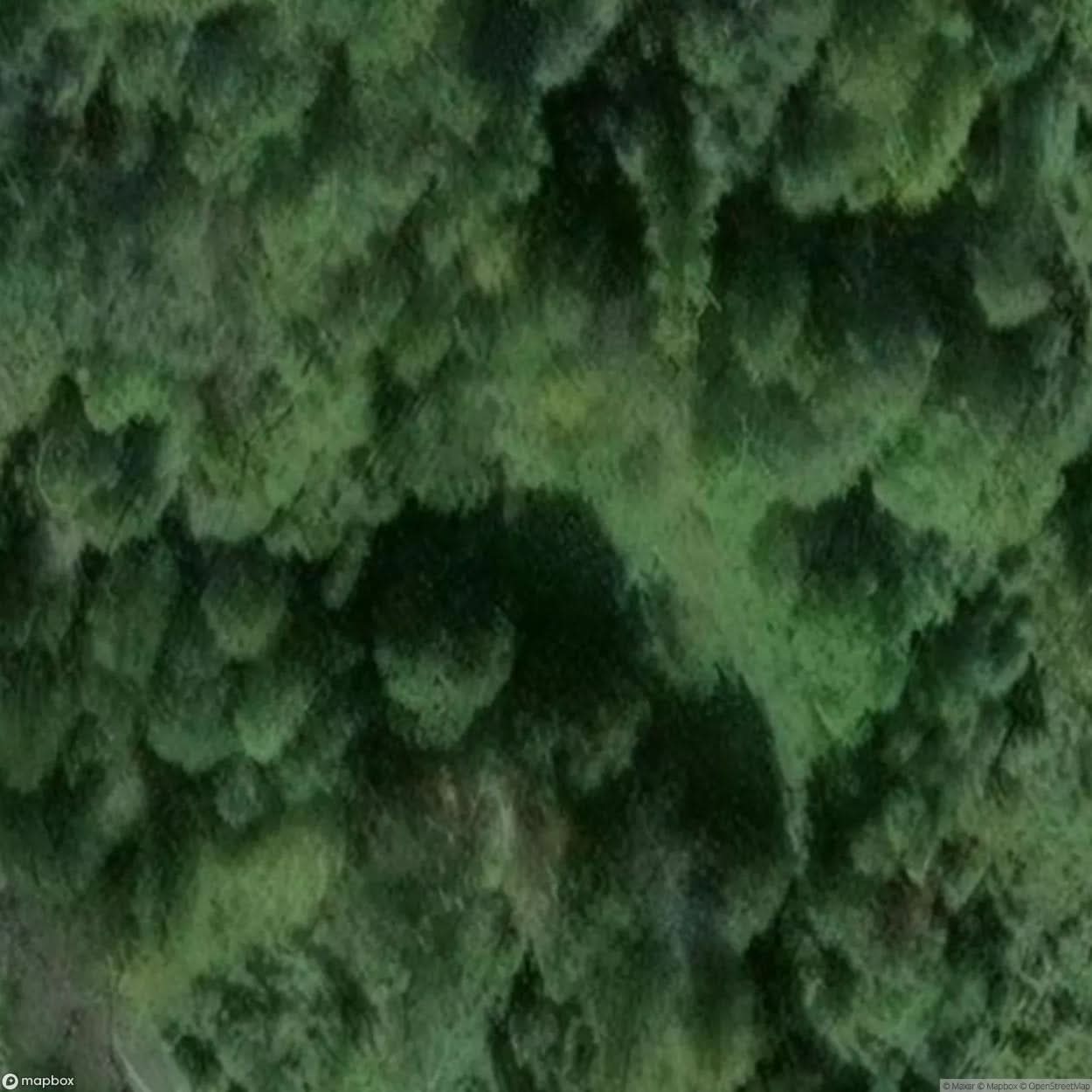 Wurgengel Mine [GER] #11250
