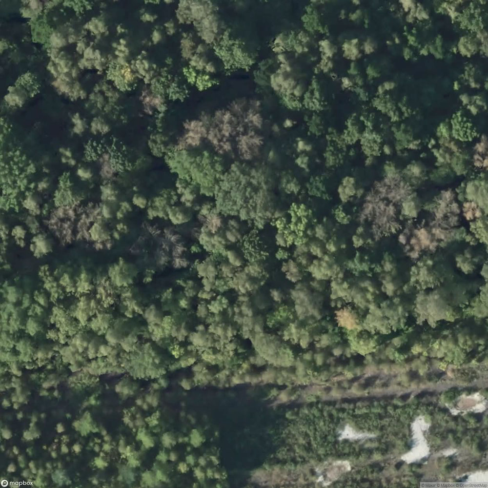 Bunker Wv [GER] #15715