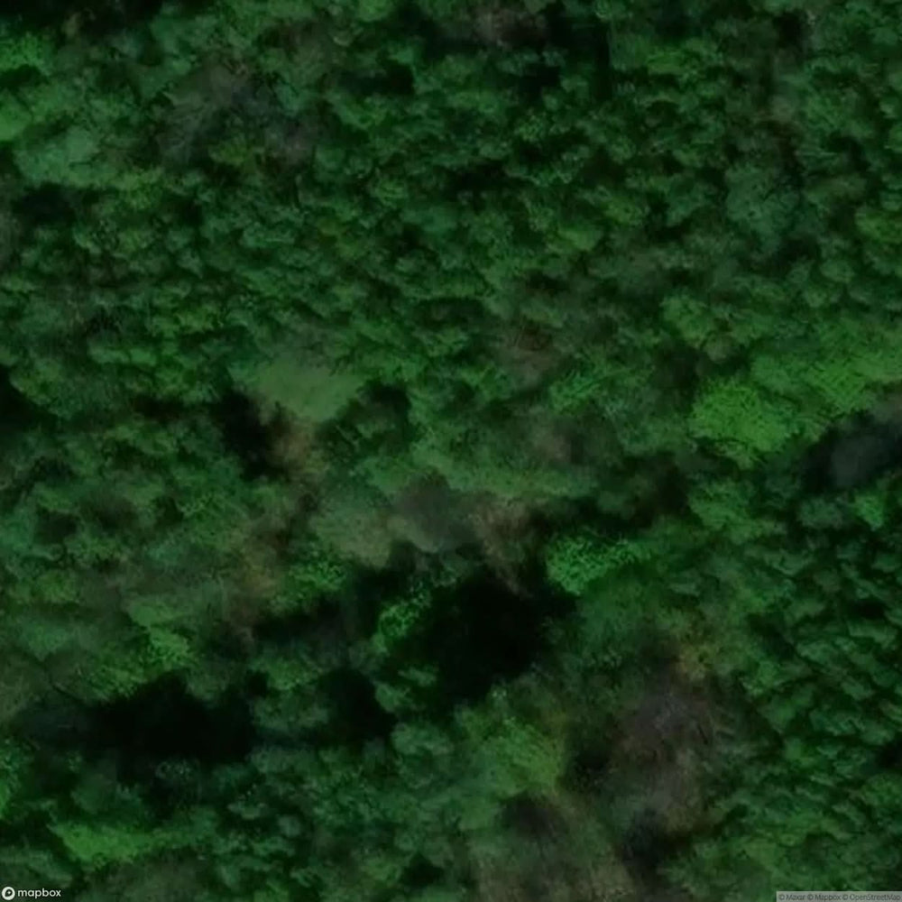 Buchenberg Iron Ore Mine [GER] #07338