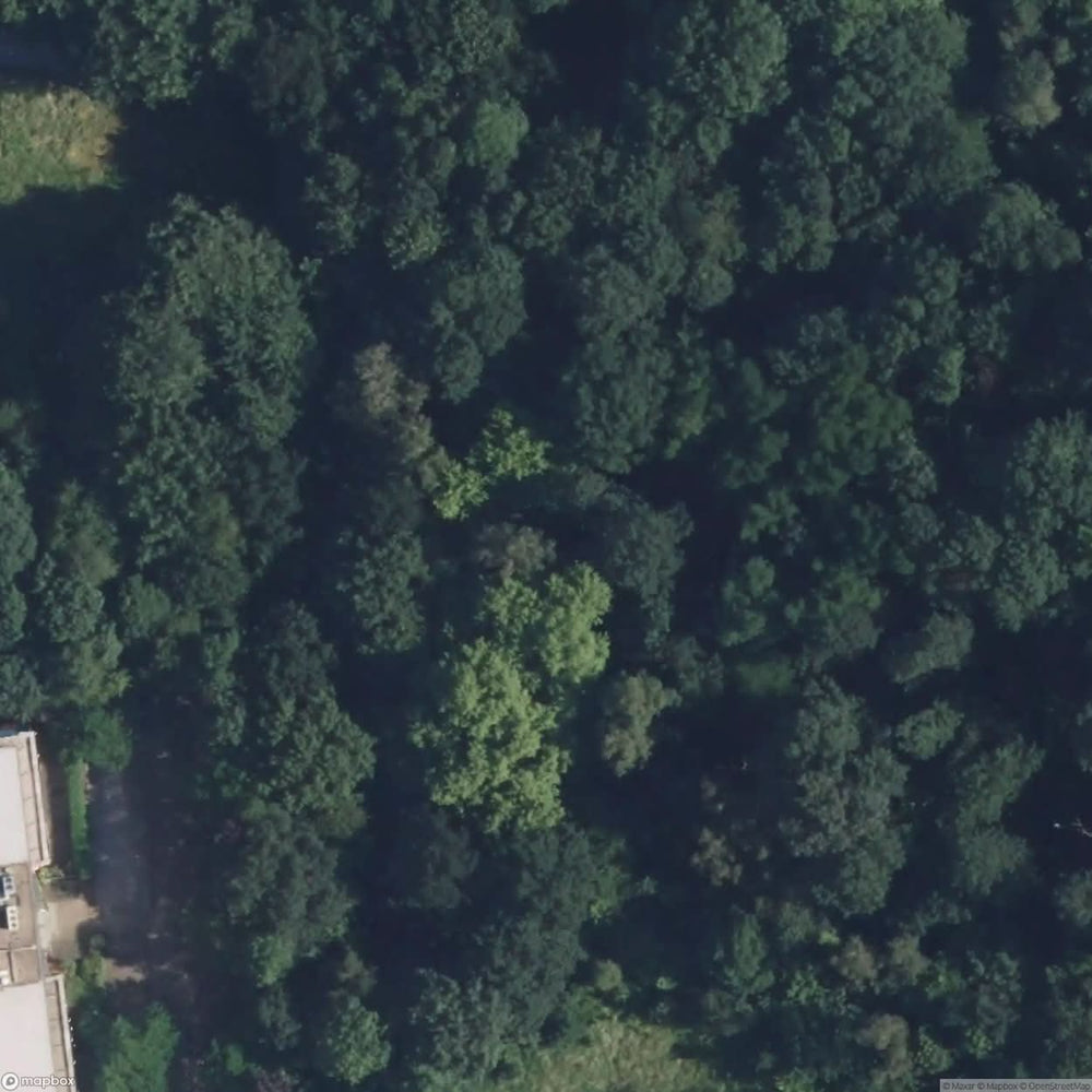Ruin House [GER] #11724