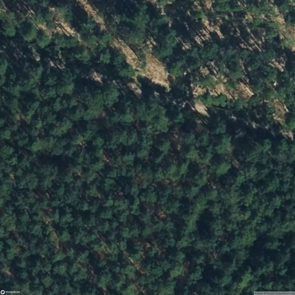 Bahlsen Family Hunting Lodge