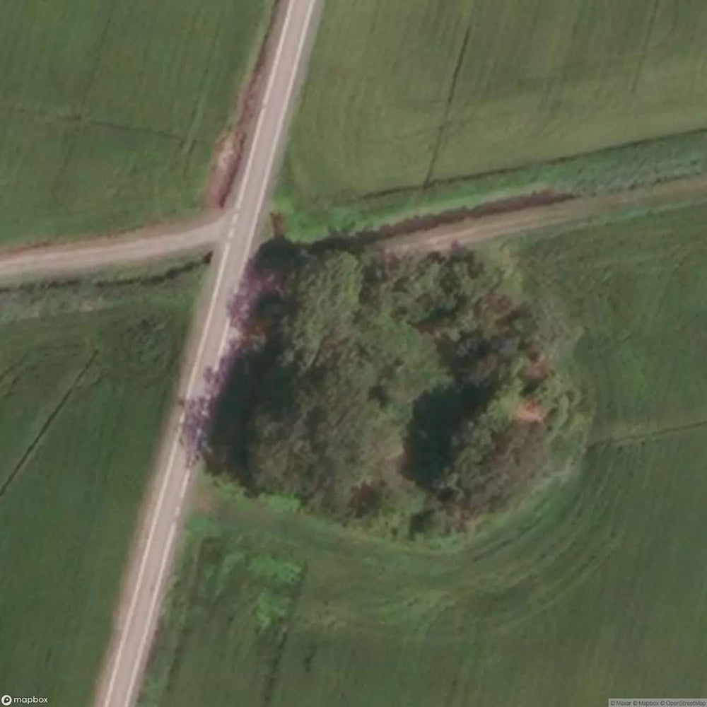 Chapel Of Darola [ITA] #10681