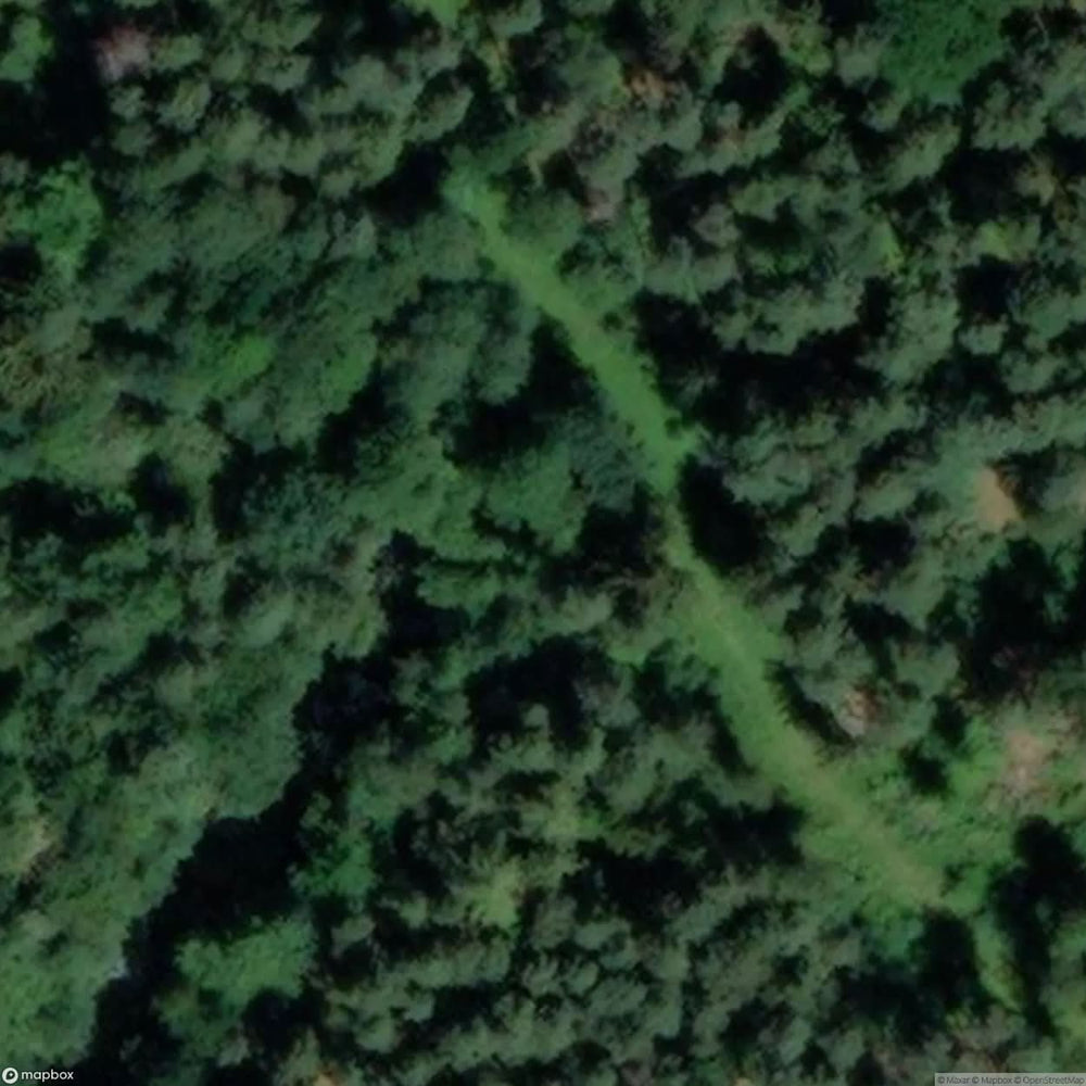 Remains Of Wehrmacht Shooting Range [DEU] #15217