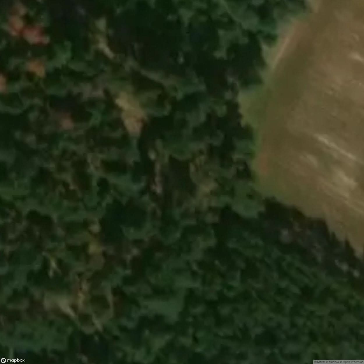 Historic Cemetery Studzianka [POL] #35829