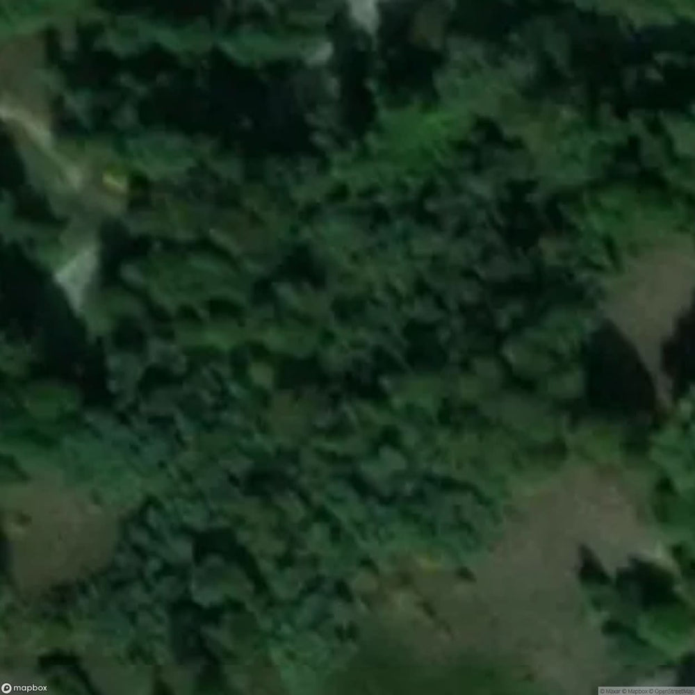 What S The Matter [DEU] #17048