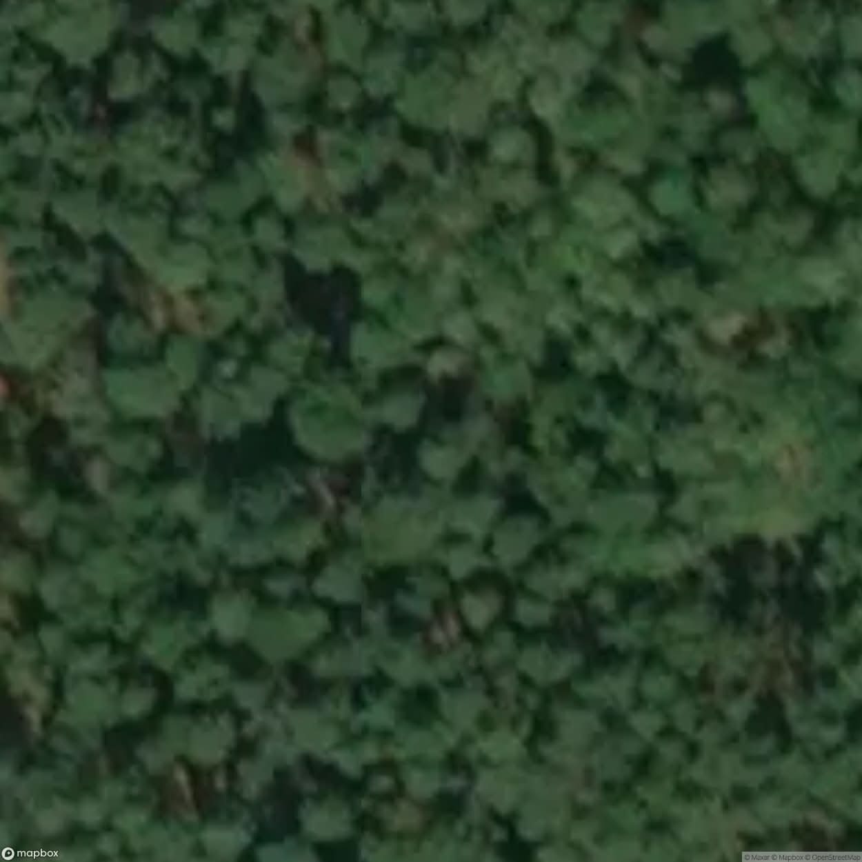 Nature Garden Harderwijk [ENG] #16689