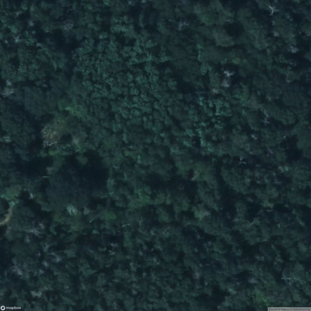 Goddard Mansion [GER] #07805