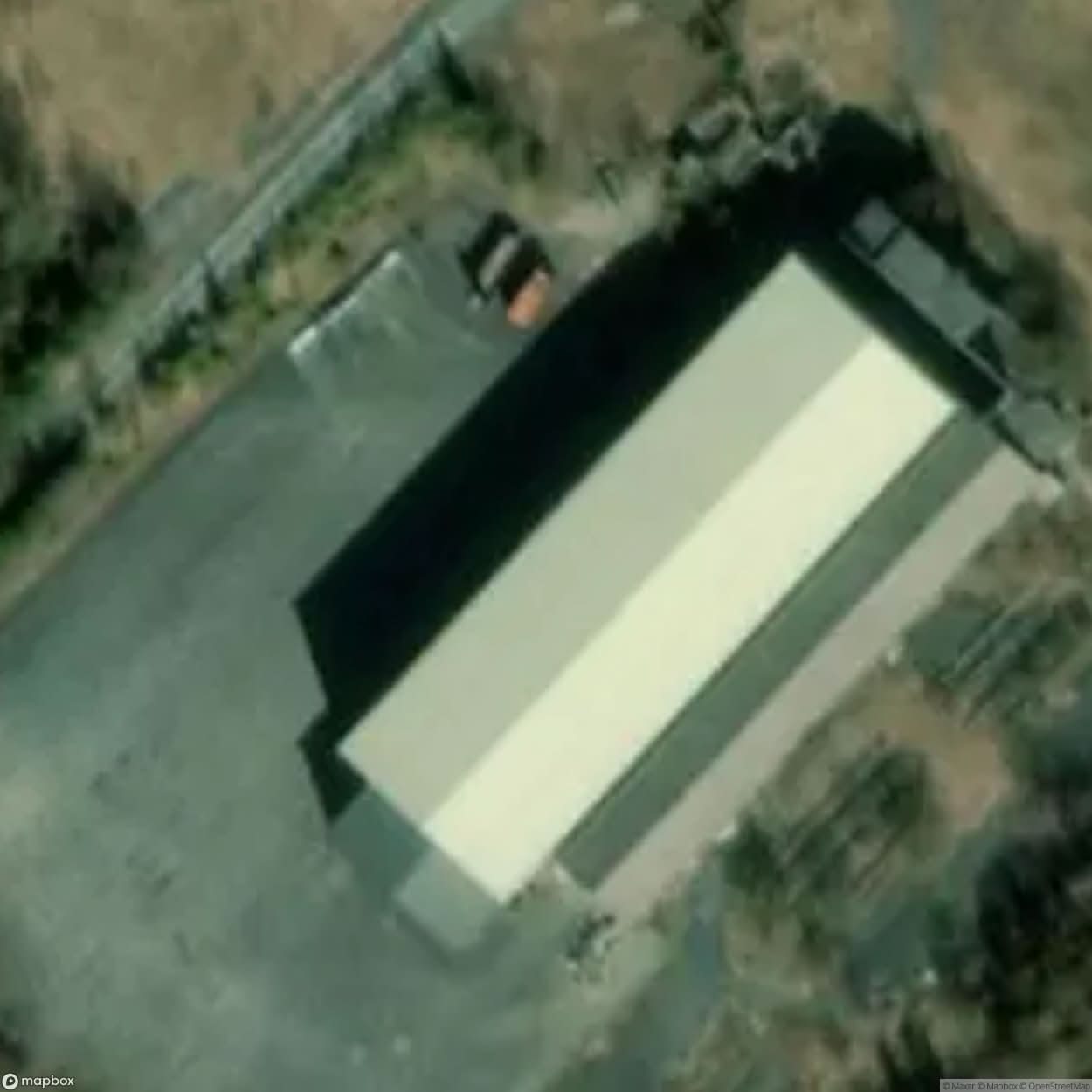 Gravel Plant [GER] #09586