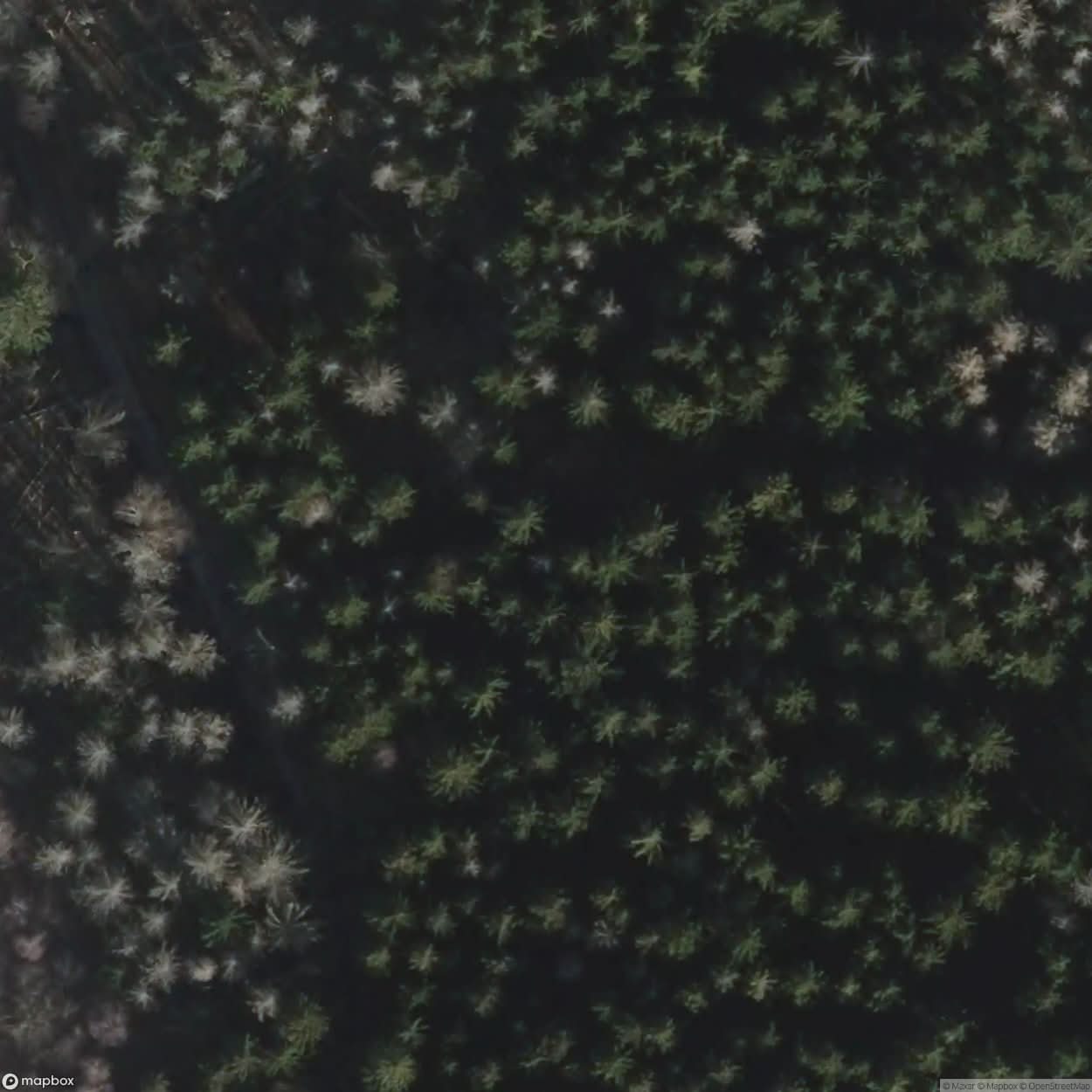 Village In The Woods [GER] #00302