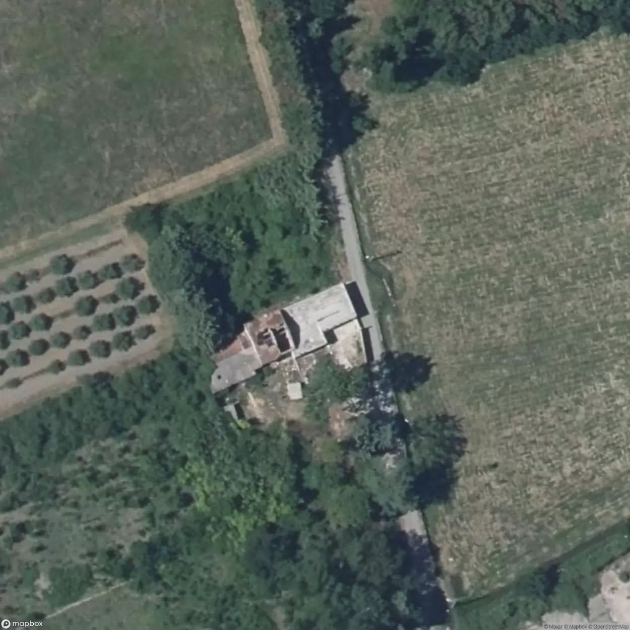 The Mushroom House [FRA] #01638