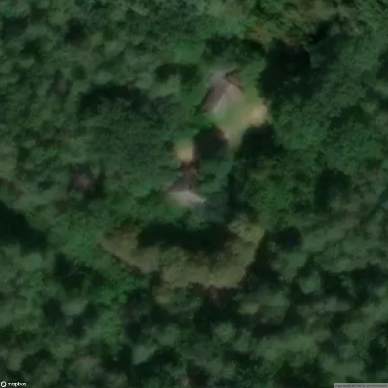 Forest Lodge [POL] #16258