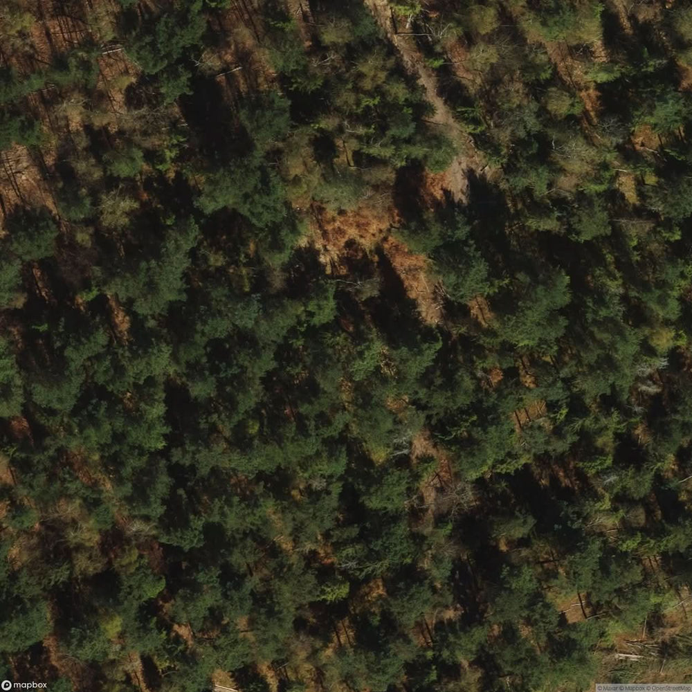 Historic Cemetery Wejherowo [POL] #35832