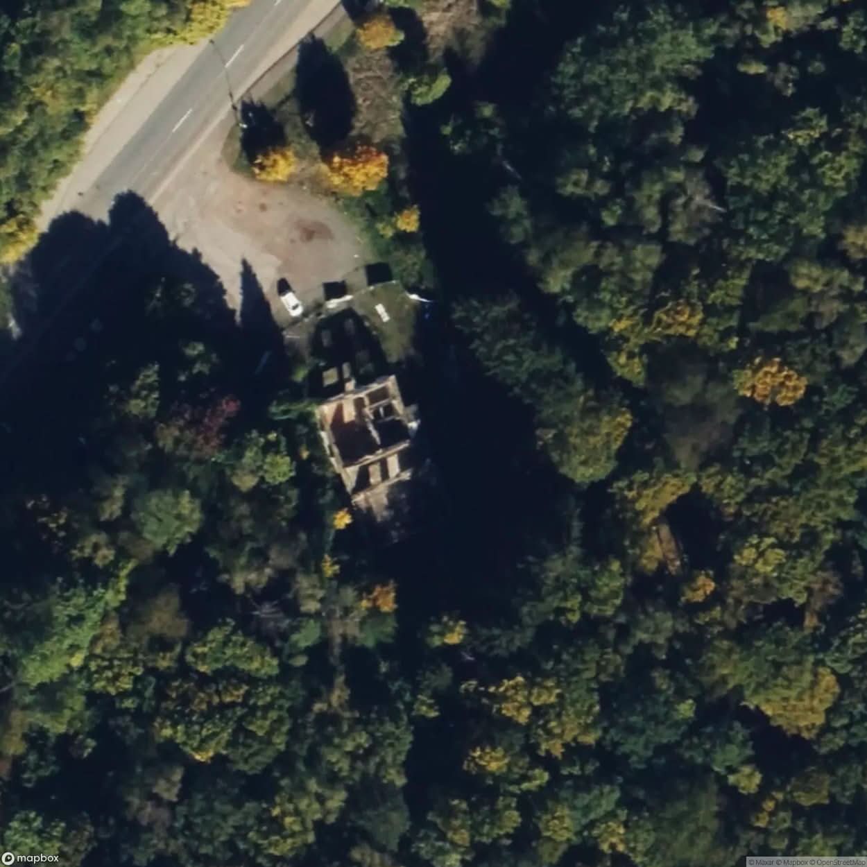 Forest House Dechen Rififi Club [GER] #04696