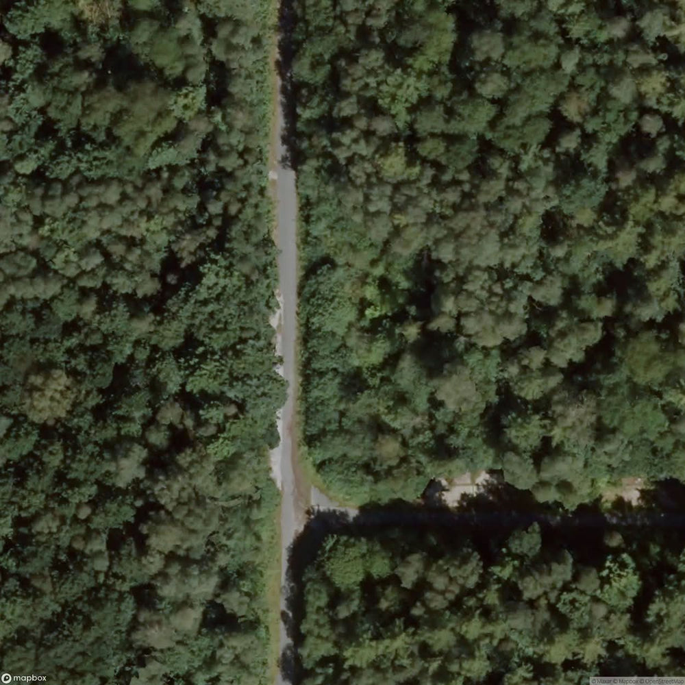Hunxer Forest Ammunition Depot [DEU] #32315