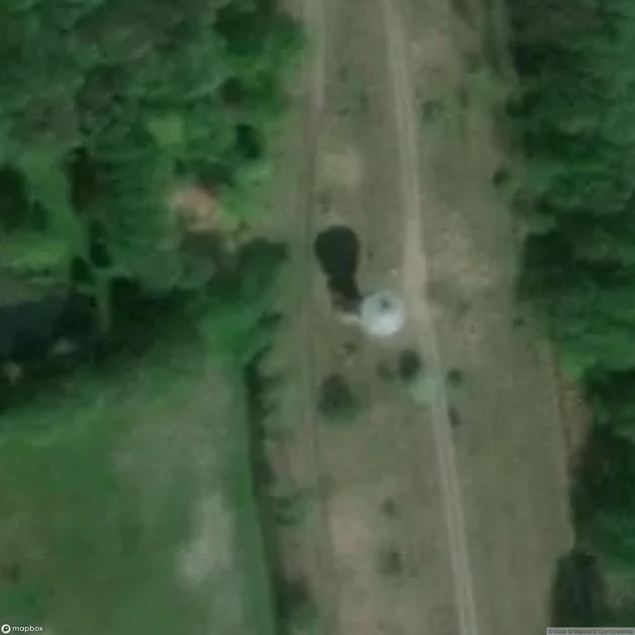 Rail Infrastructure Trzciel Railway Station [POL] #29839