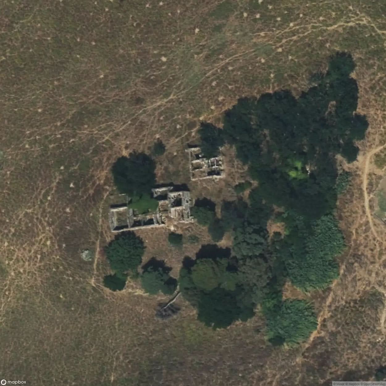 Villa Guido Baccelli [ENG] #04617