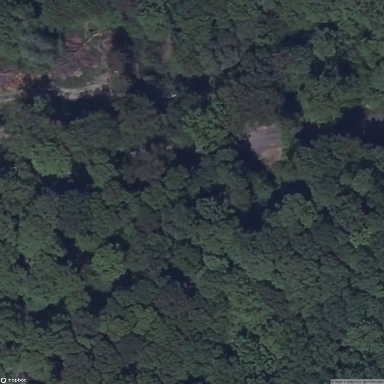 College Of The Forest