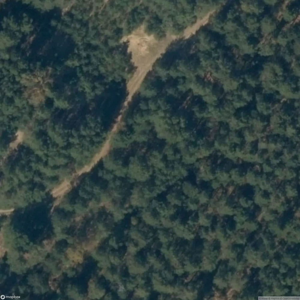Bunker Dz [GER] #15882