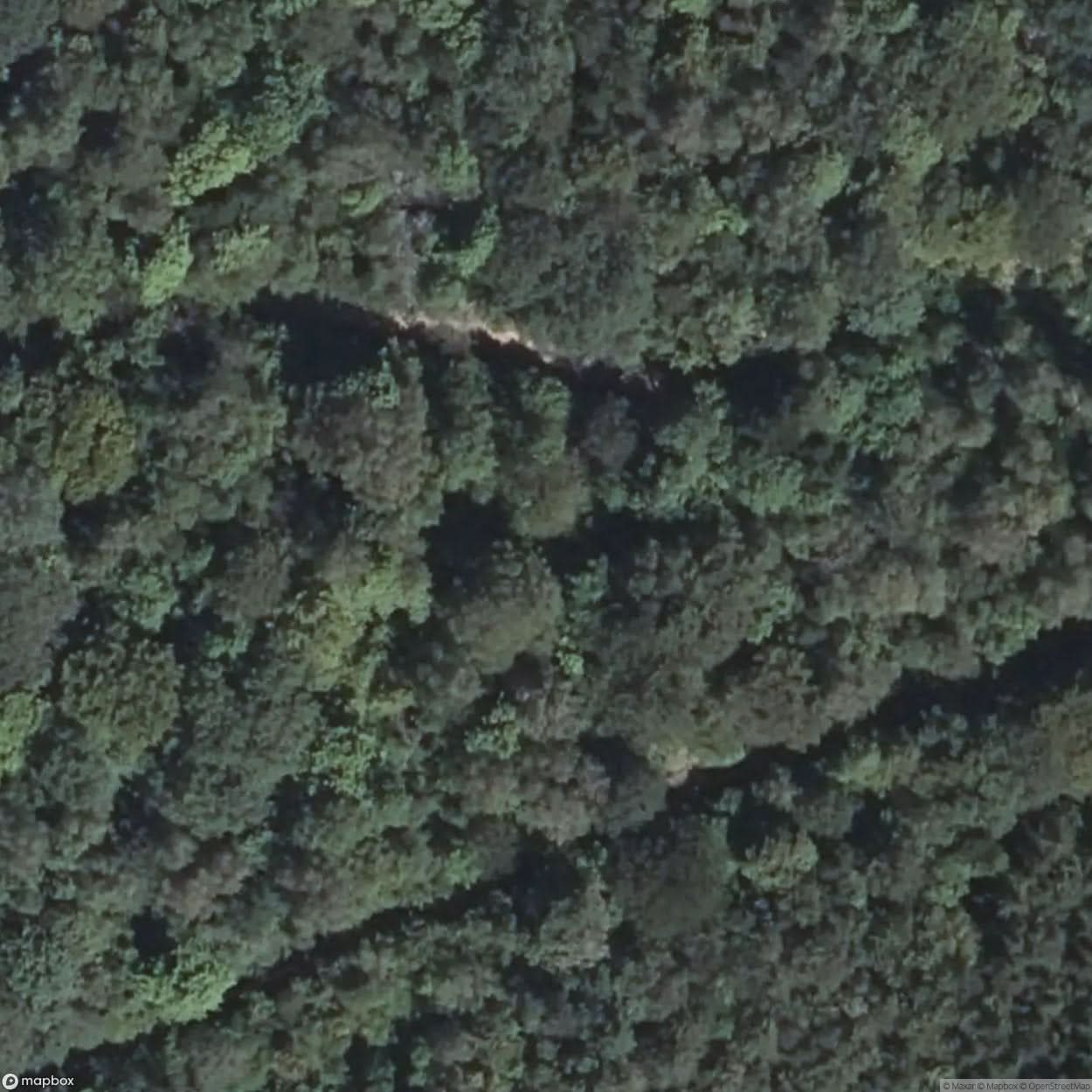 Hartmannswillerkopf Battlefield [FRA] #16290