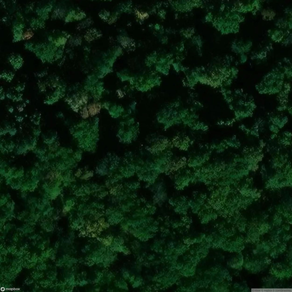 Villa Saxony [GER] #01904