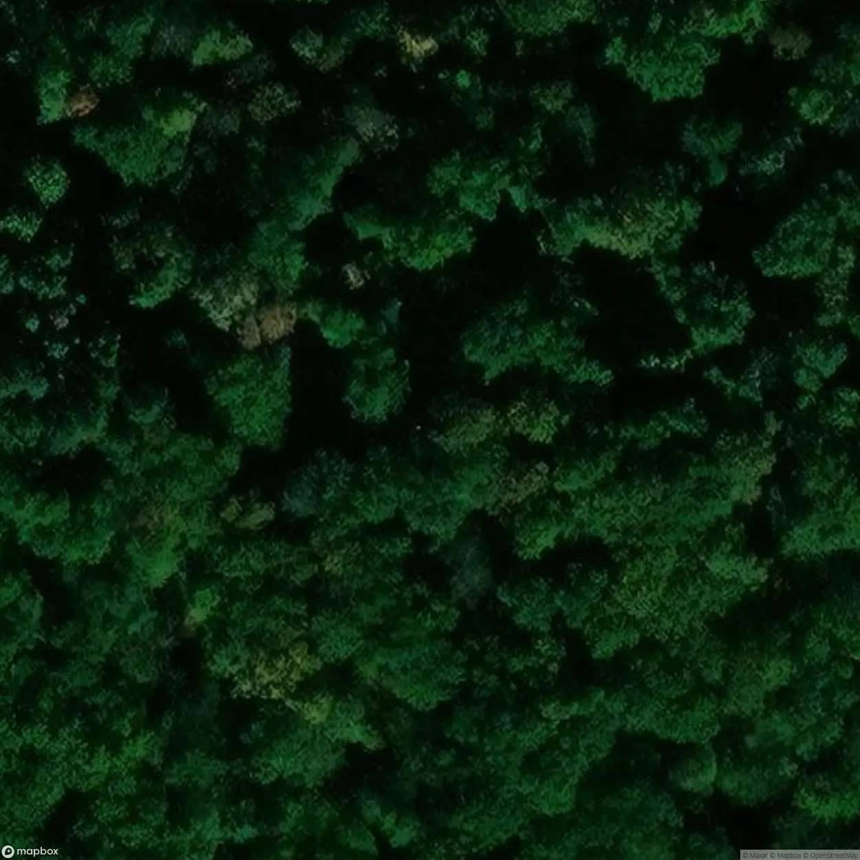 Villa Saxony [GER] #01904