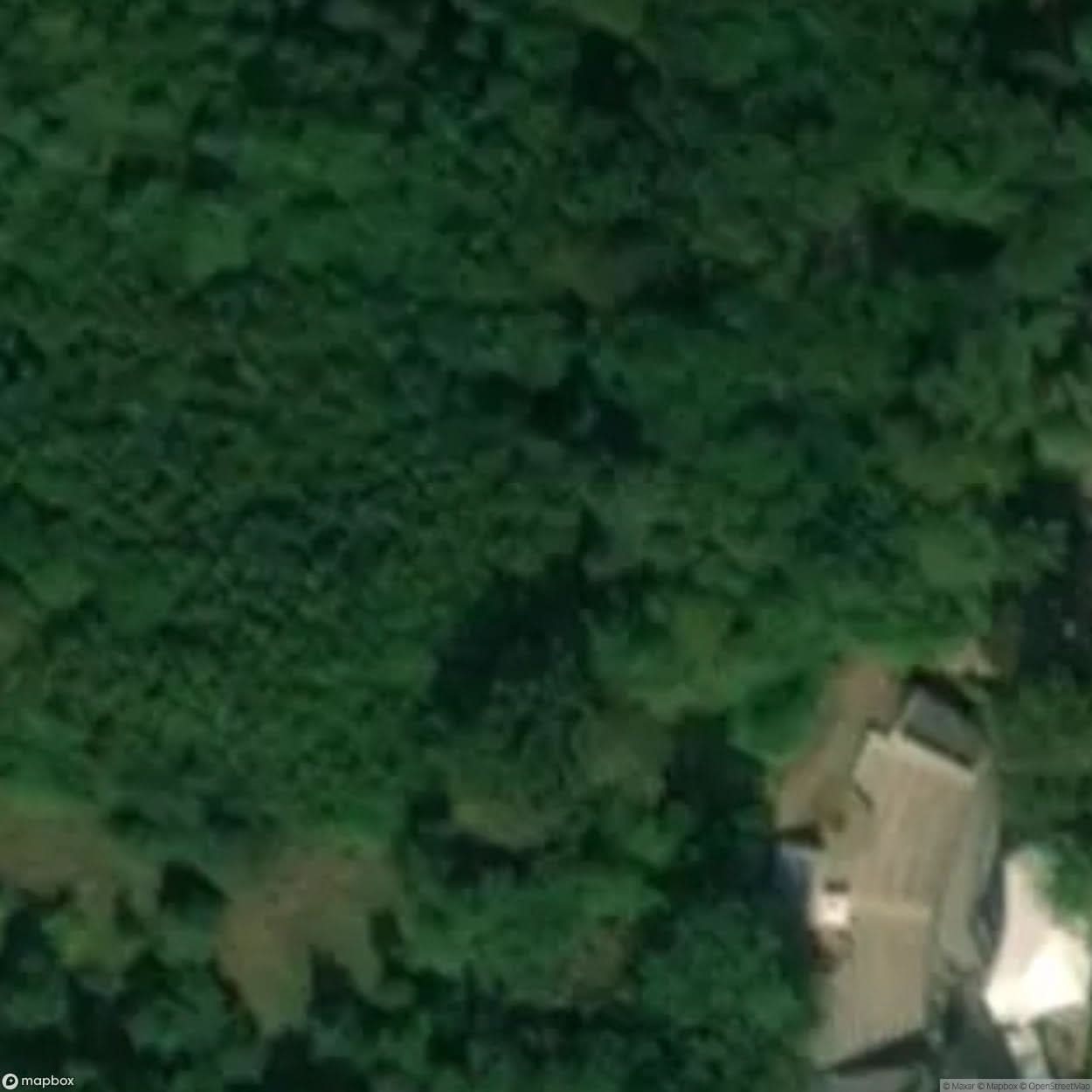 Historic Cemetery Agow [POL] #35784