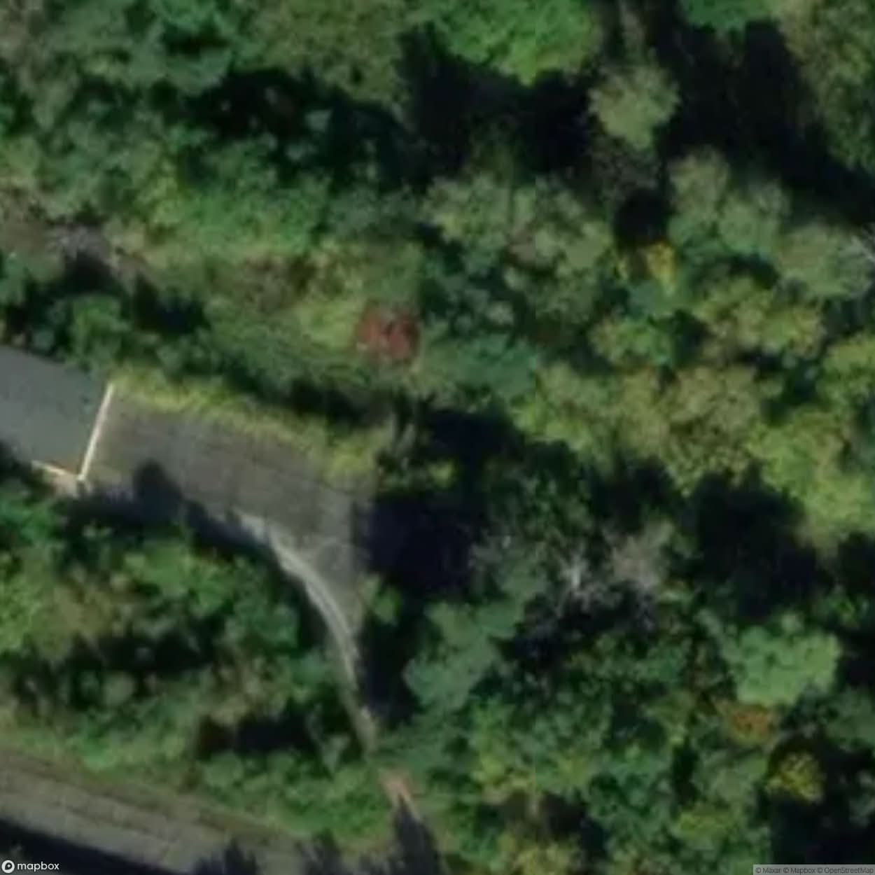 Abandoned WW2 Bunker [POL] #32207