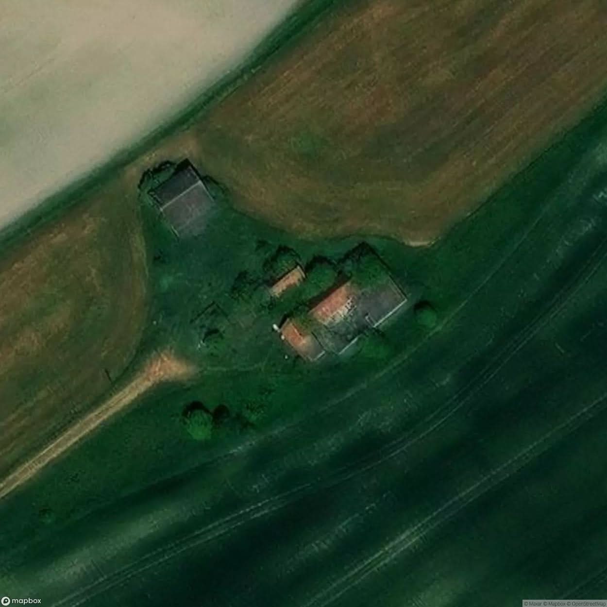 Rooster Farm [BEL] #04498
