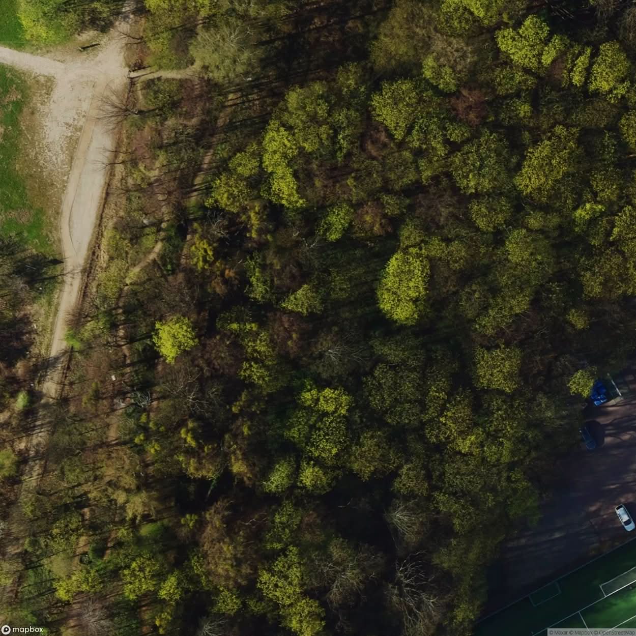 Historic Cemetery Gdansk Wrzeszcz [POL] #35857