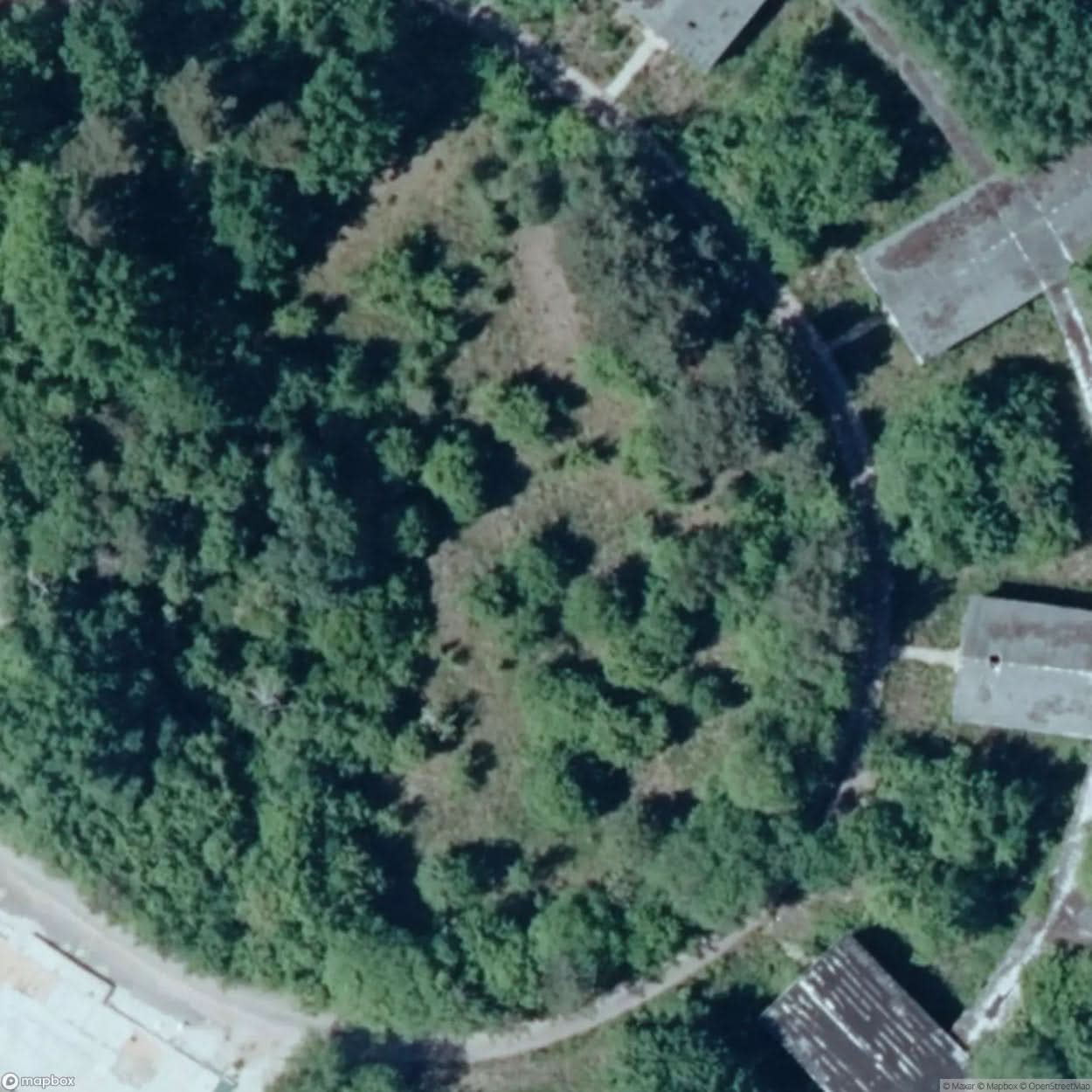 Forest Hospital [GER] #15344