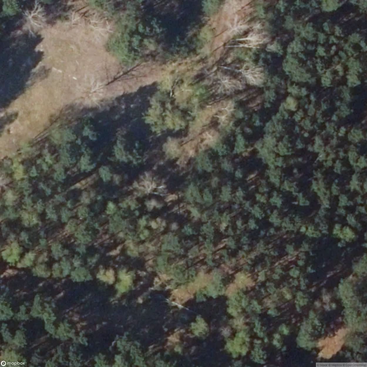Large Bunker [DEU] #17161