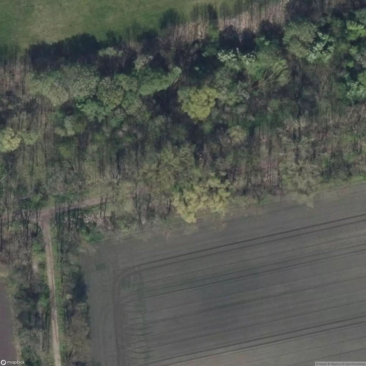 Burned Cars Depot [GER] #14334